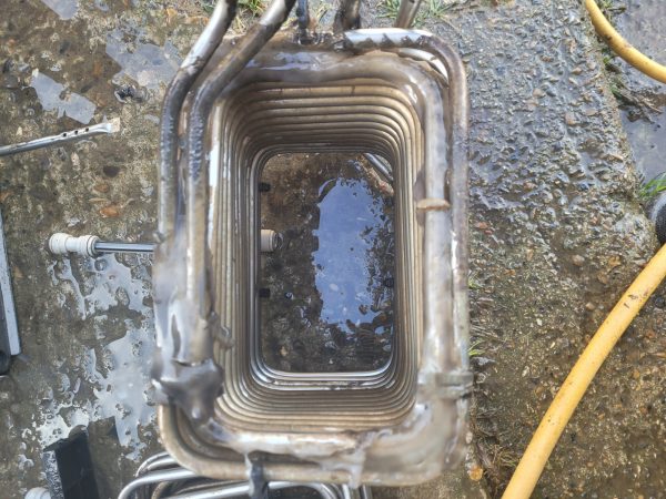 Algae growing in a remote beer cooler